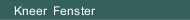 Kneer  Fenster