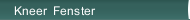 Kneer  Fenster