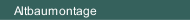 Altbaumontage